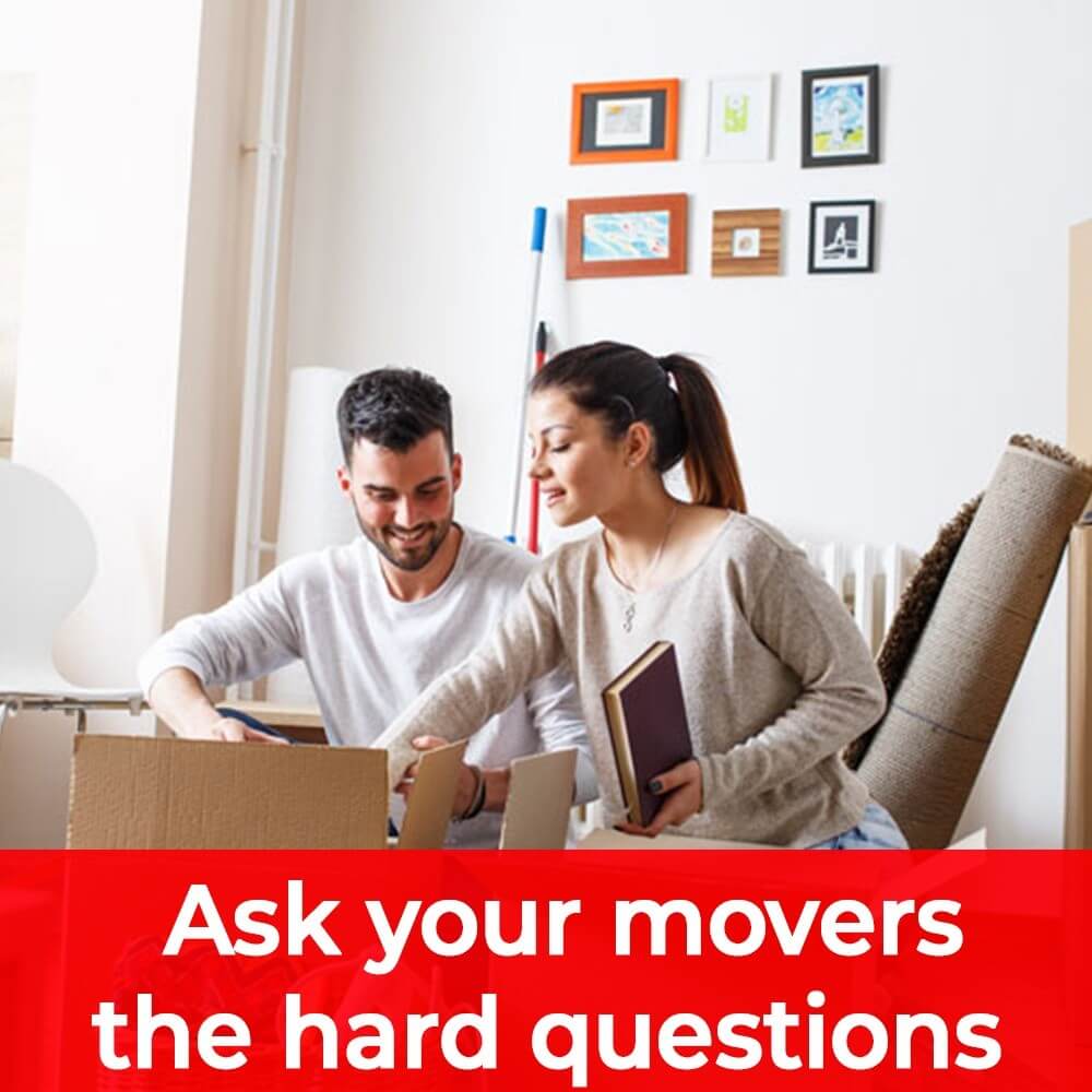 Çevre Dostu Nakliyat Trendleri : Kapak Görseli