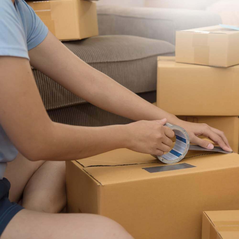 Yeşil Lojistikle Taşımacılıkta Fark Yaratın : Kapak Görseli